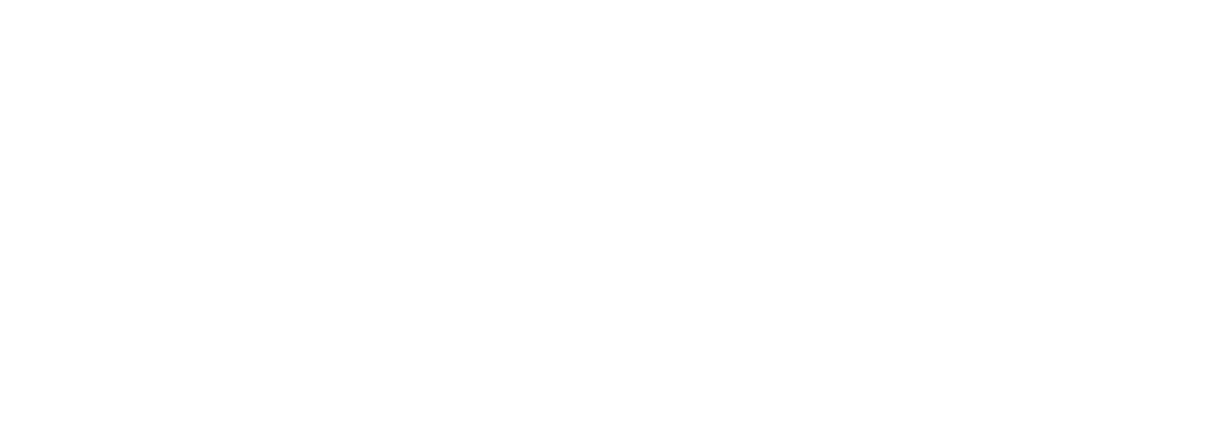 Logo FyndU